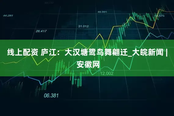 线上配资 庐江：大汉塘鹭鸟舞翩迁_大皖新闻 | 安徽网