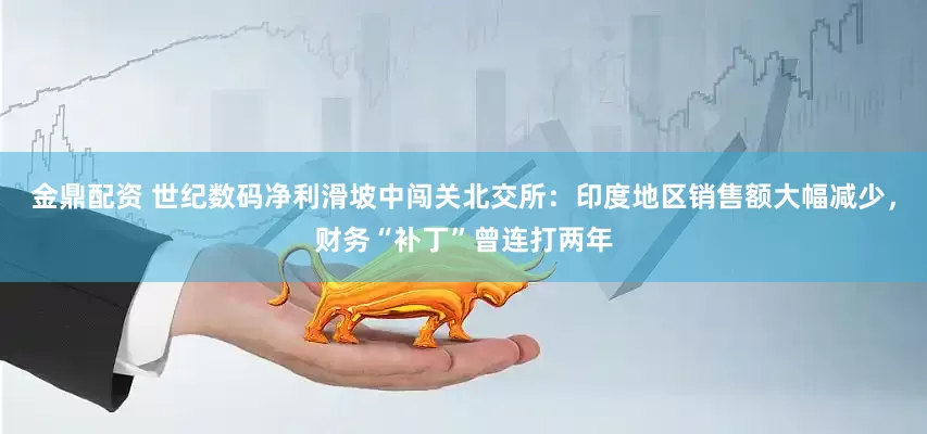金鼎配资 世纪数码净利滑坡中闯关北交所：印度地区销售额大幅减少，财务“补丁”曾连打两年
